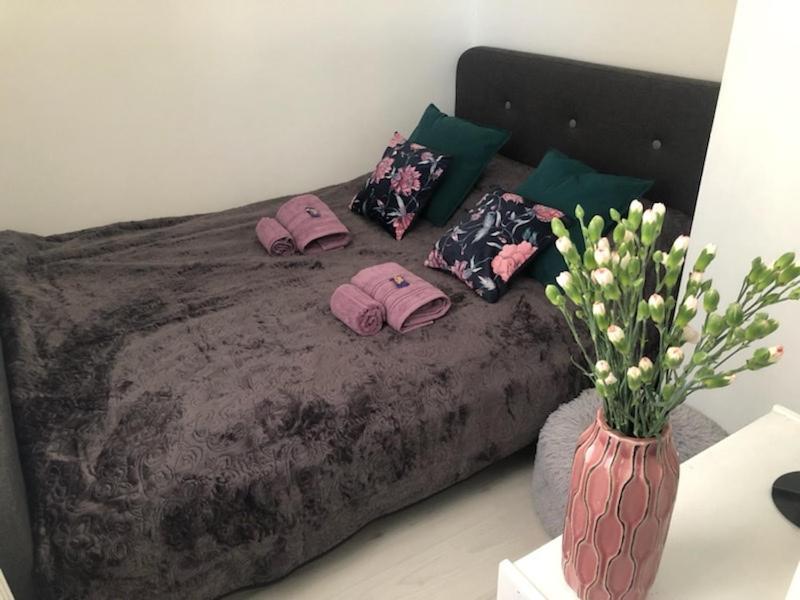 Nasze Brzezno Apartment Gdańsk Exterior foto